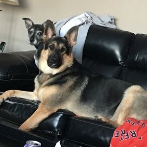 Meet your Posher, Angela